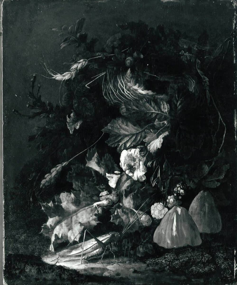 Stillleben mit Vogelnest