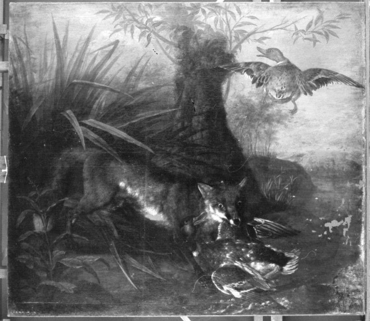 Fuchs mit Beute