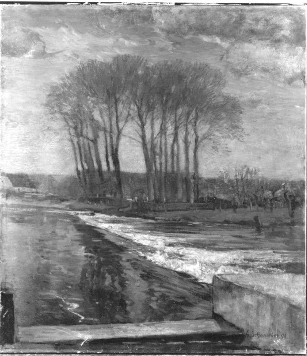 Baumgruppe in Besigheim