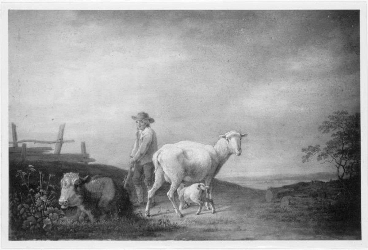 Mutterschaf mit Hirt