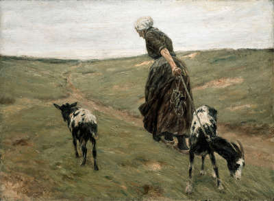 Frau mit Geißen in den Dünen