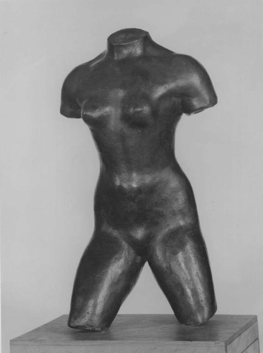 Weiblicher Torso ausschreitend