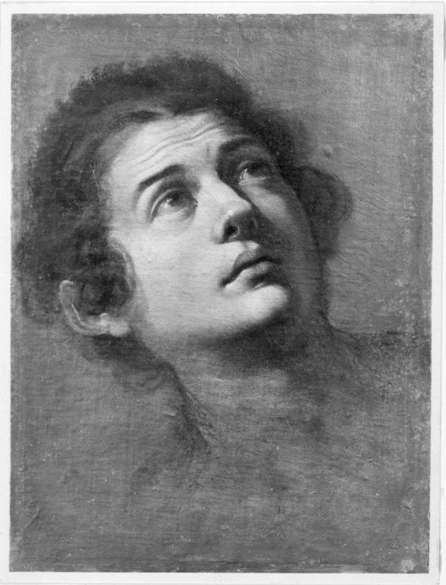 Männlicher Studienkopf