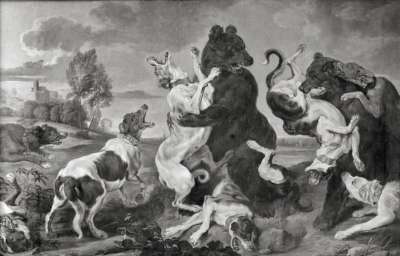 Bärenjagd