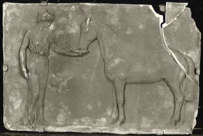 Frau mit Pferd