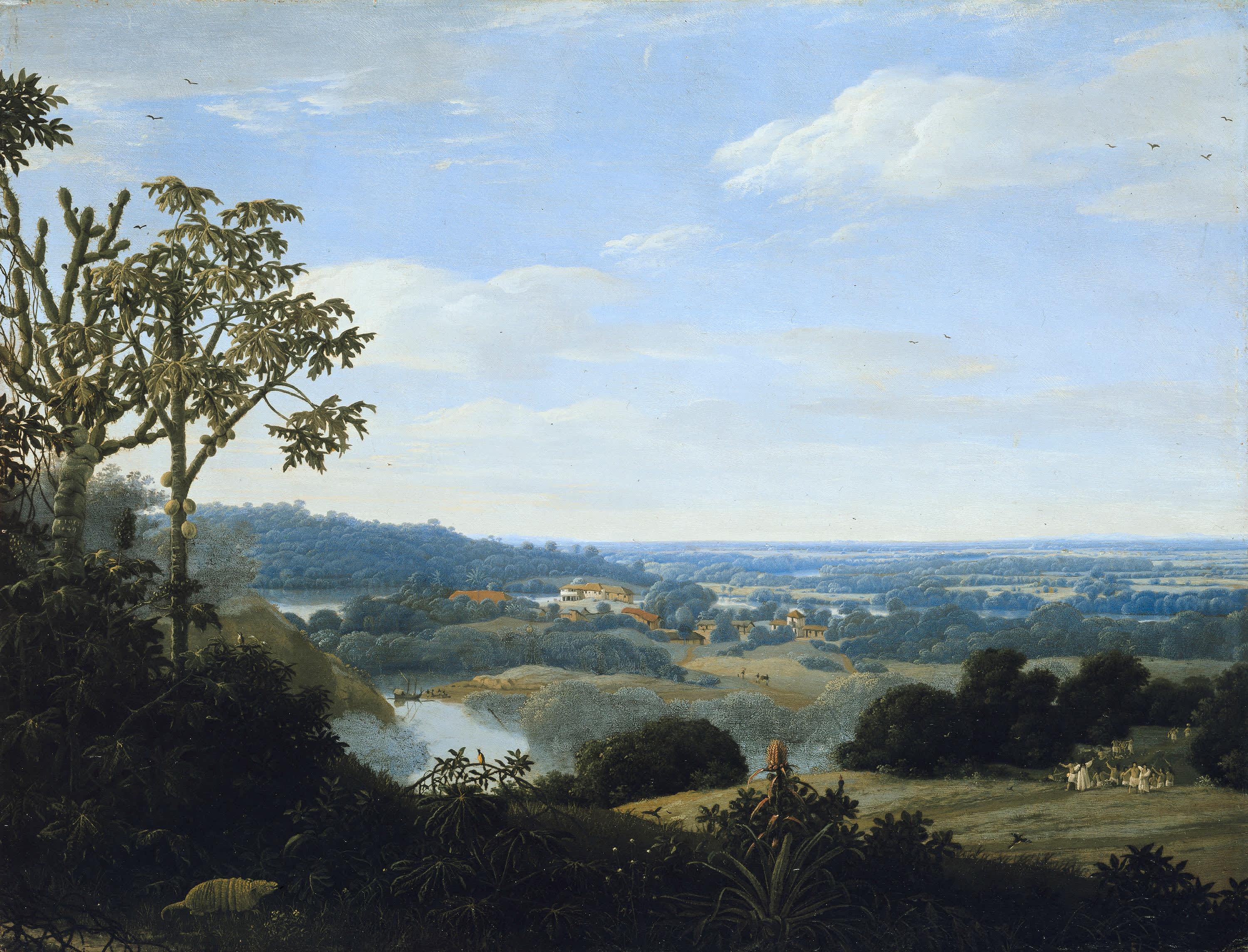 Brasilianische Landschaft mit Gürteltier