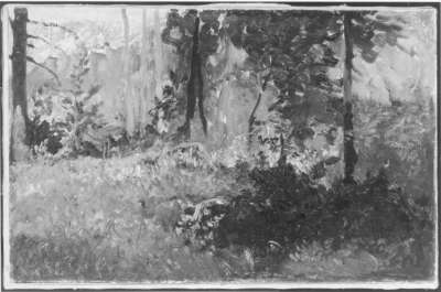 Waldinneres