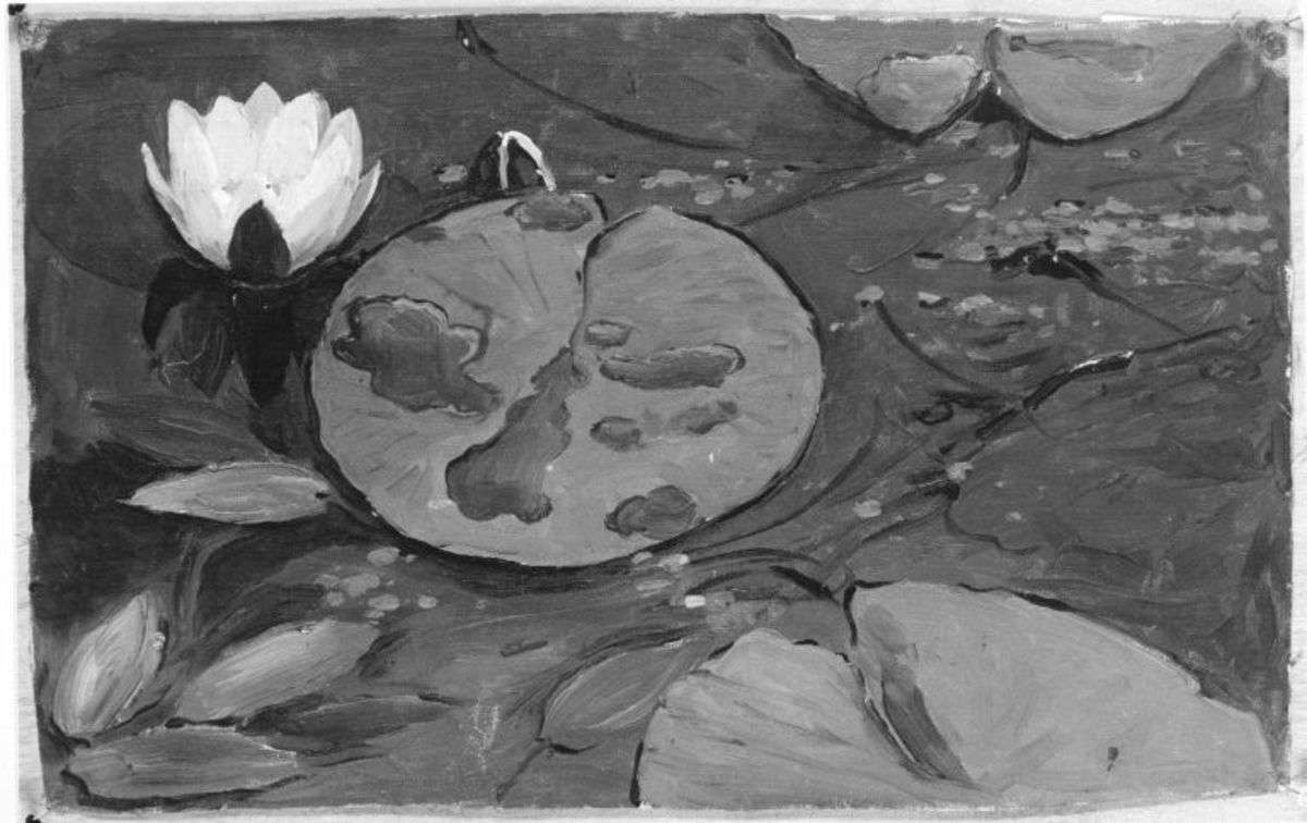 Seekanal mit Wasserrosen