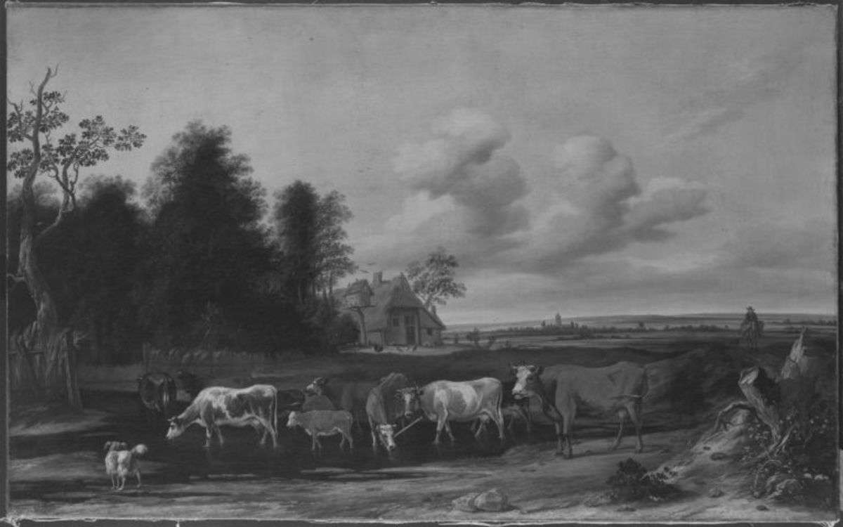 Landschaft