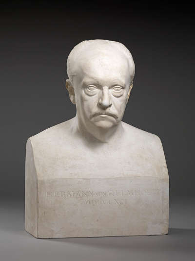 Der Physiker Hermann von Helmholtz (1821–1894)