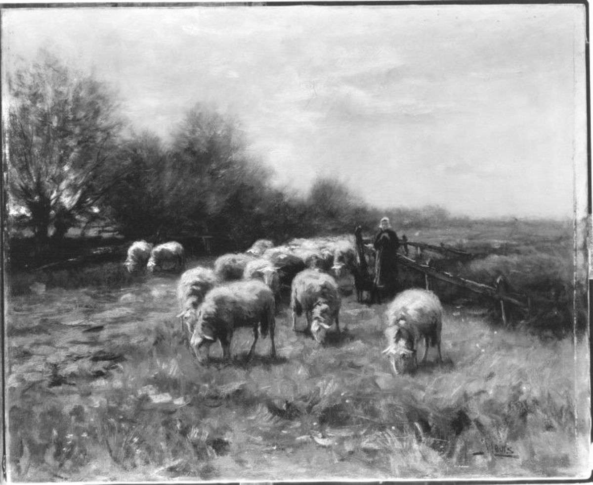 Schafe und Schäferin