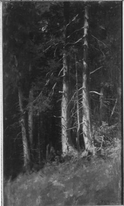 Hochwald