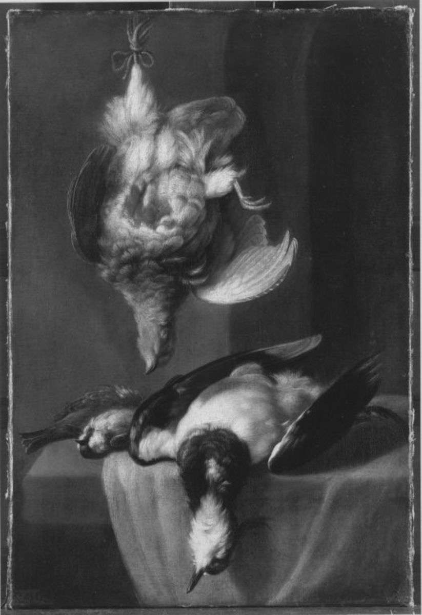 Stillleben mit toten Vögeln