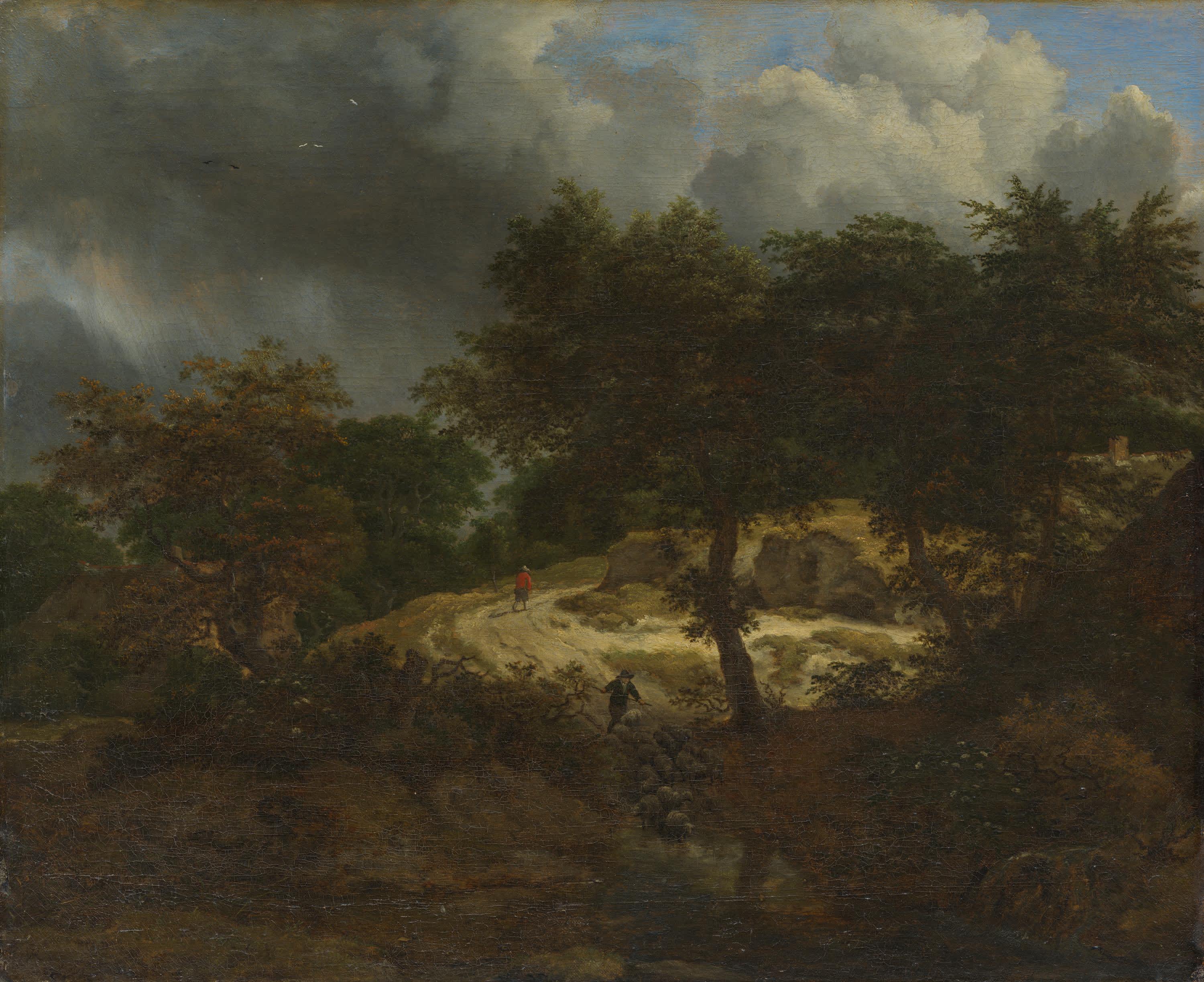 Waldlandschaft mit aufsteigendem Gewitter