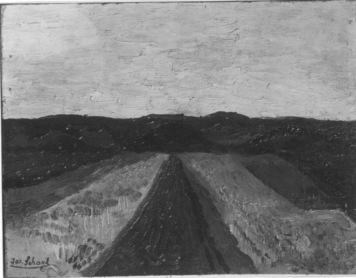 Sommerlandschaft mit bunten Äckern