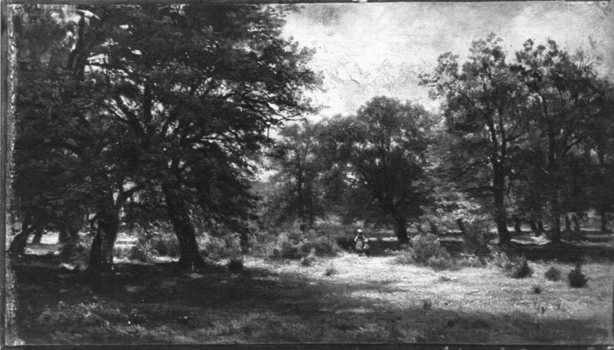 Waldlandschaft