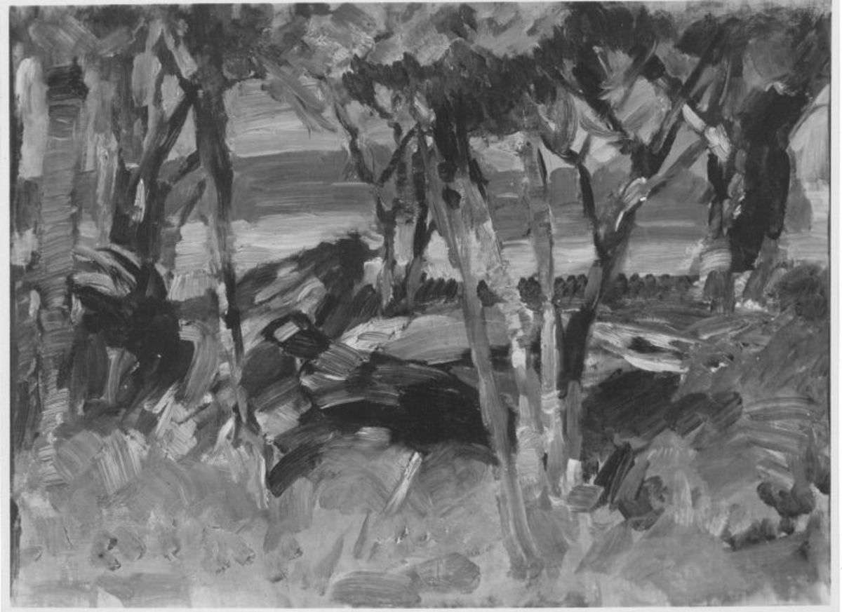 Hühner unter Bäumen