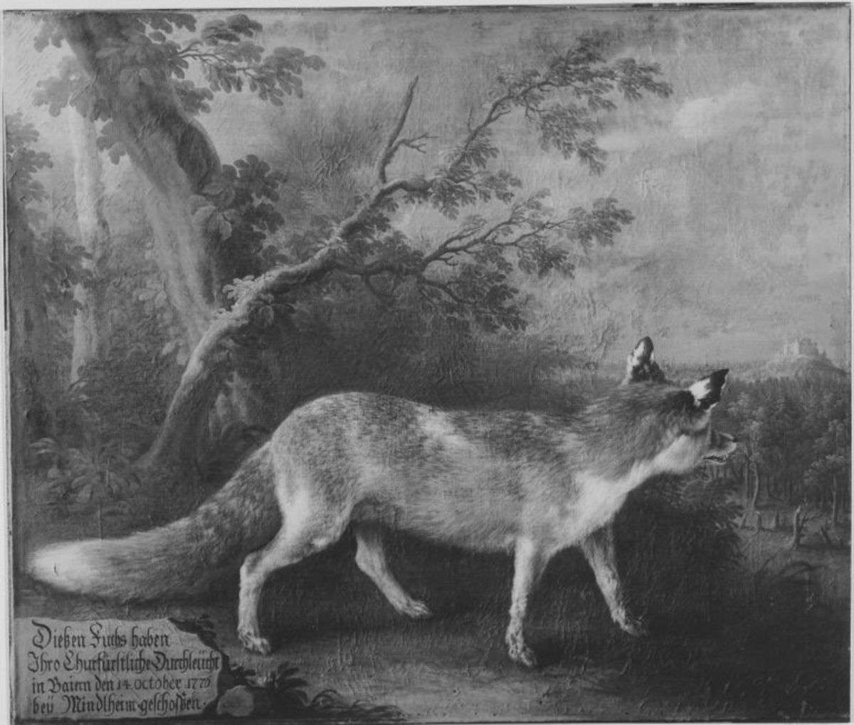 Fuchs