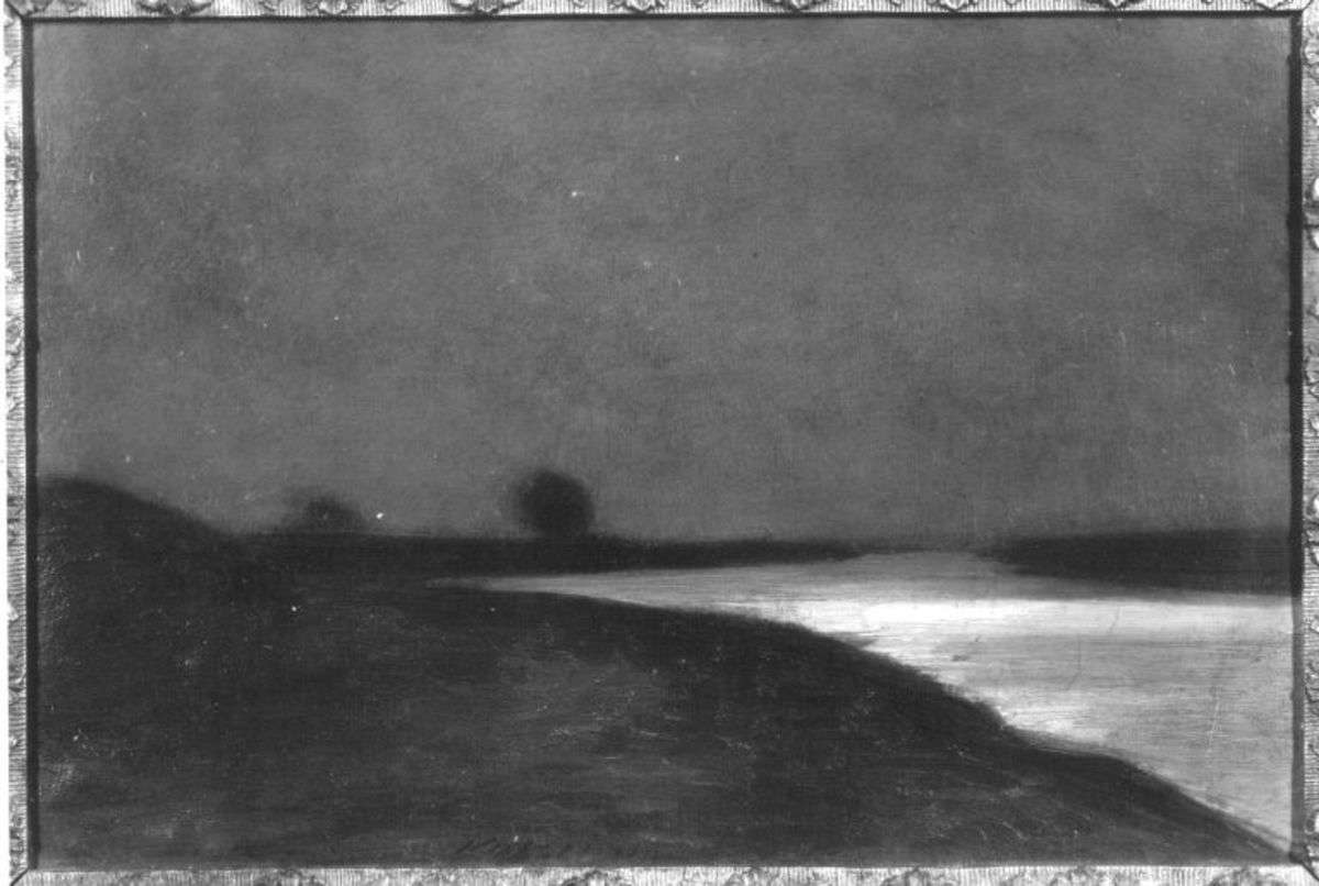 Die Theiß im Mondlicht