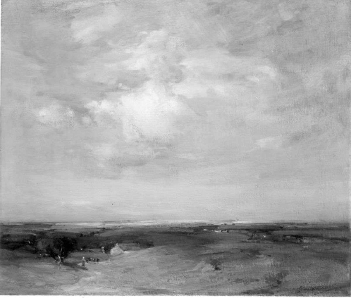 Schottisches Moorland