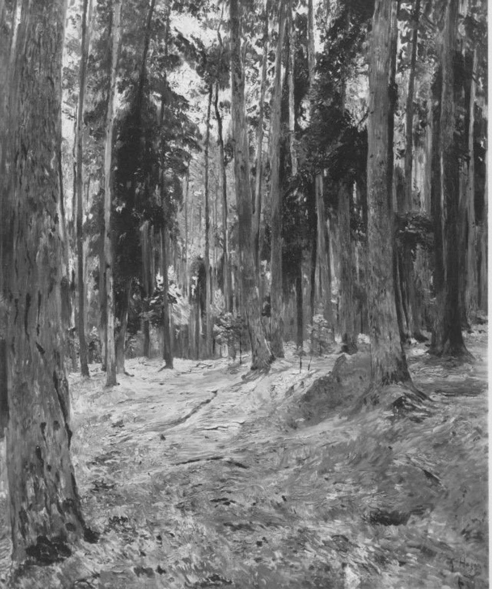 Waldlandschaft