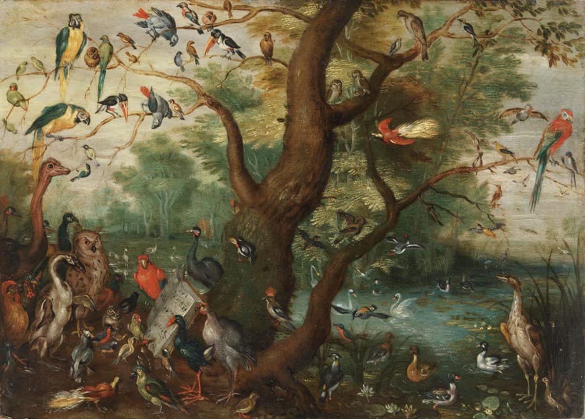 Das Vogelkonzert