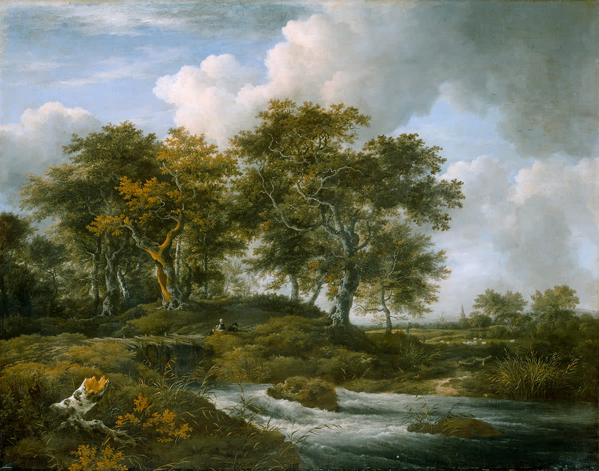 Eichen an einem Gießbach