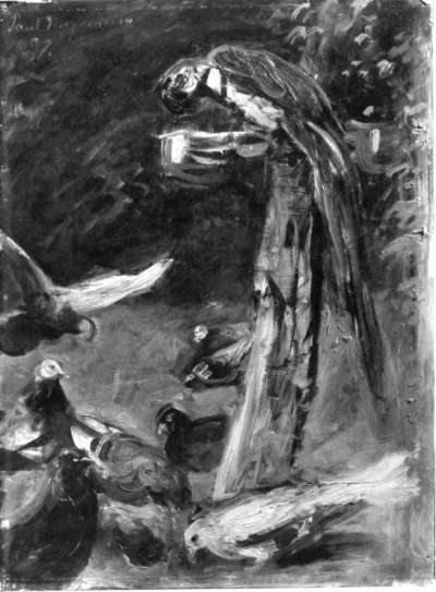 Papageien (Ölskizze)