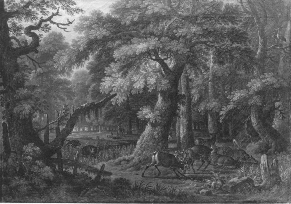 Zwei kämpfende Hirsche im Wald