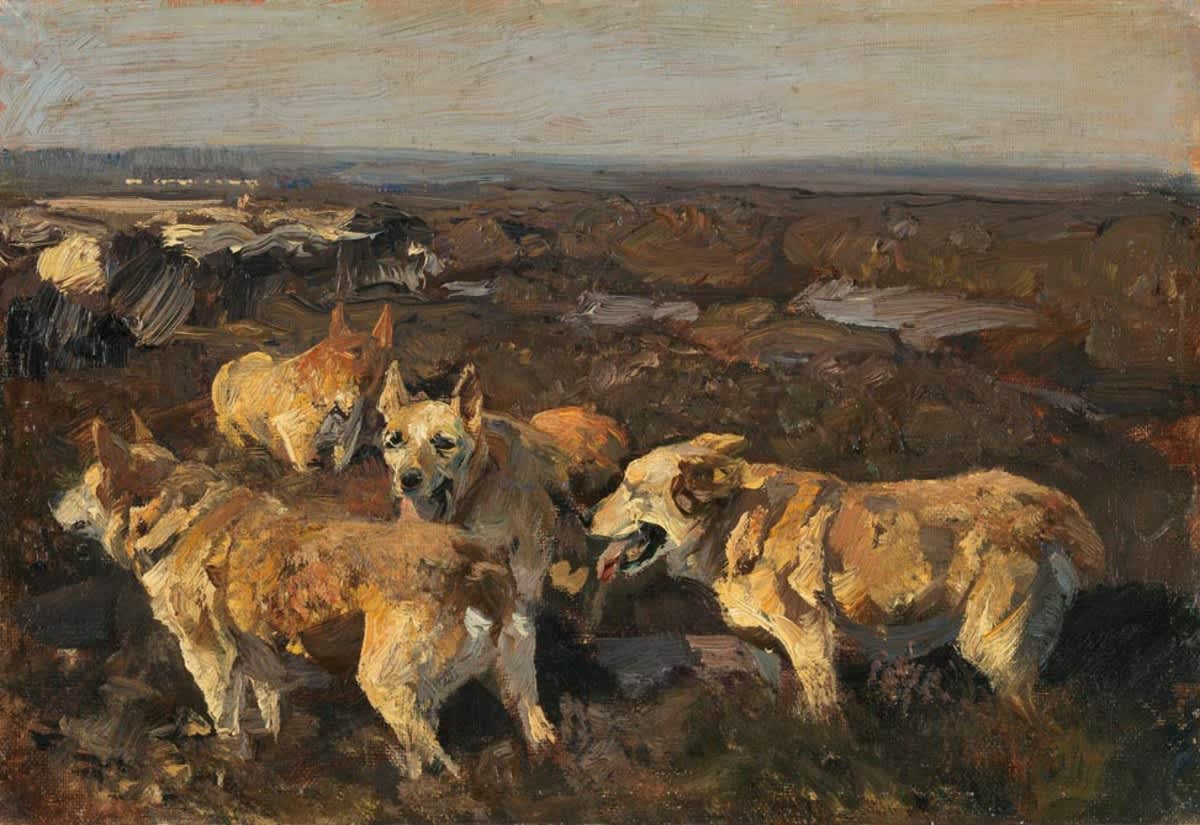 Hunde