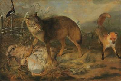 Wolf reißt ein Lamm