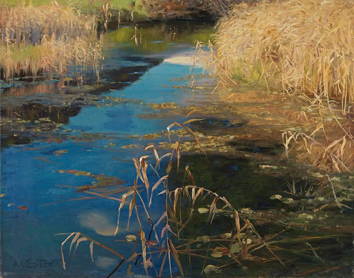 Schilf in der Abendsonne