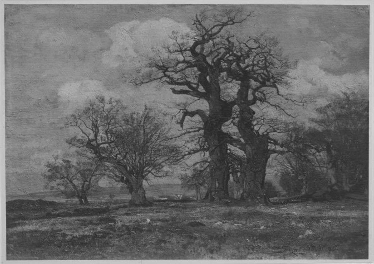 Landschaft mit Eichen