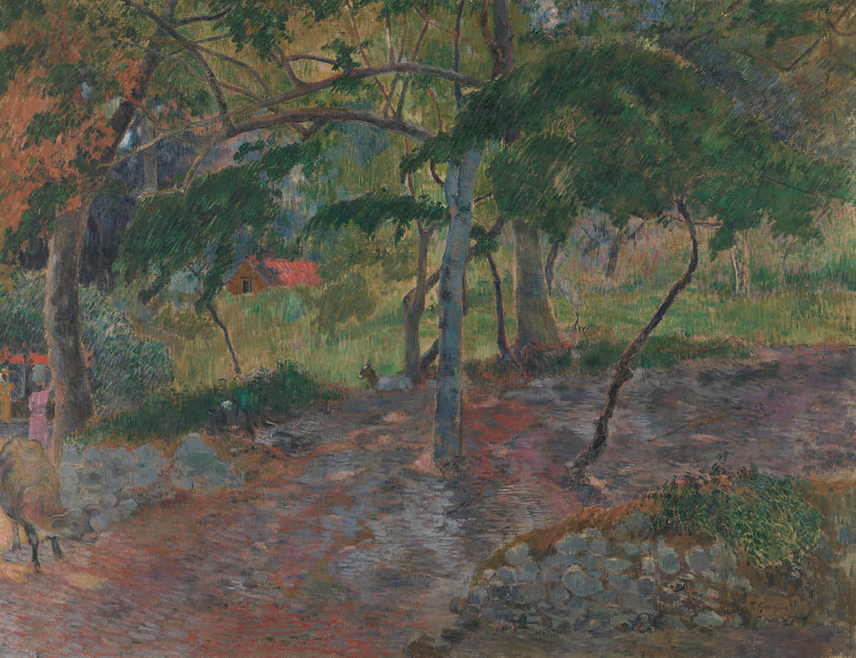 Landschaft auf Martinique