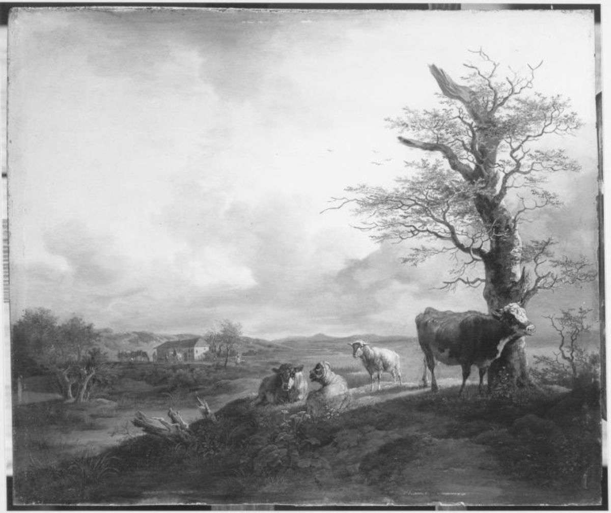 Kuh, Kalb und Schafe unter einer Buche