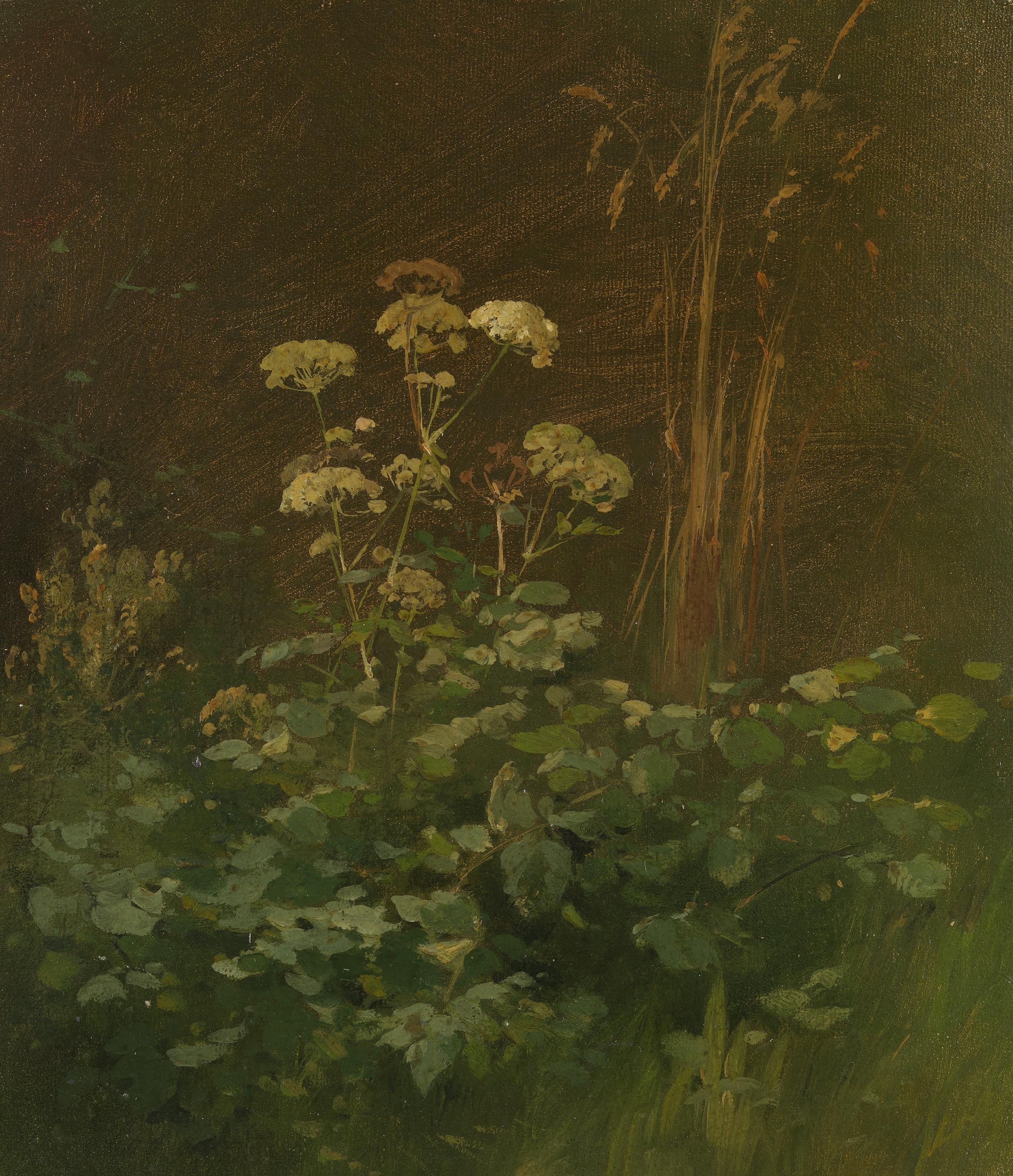 Gräser und Stauden im Unterholz (Ölstudie)