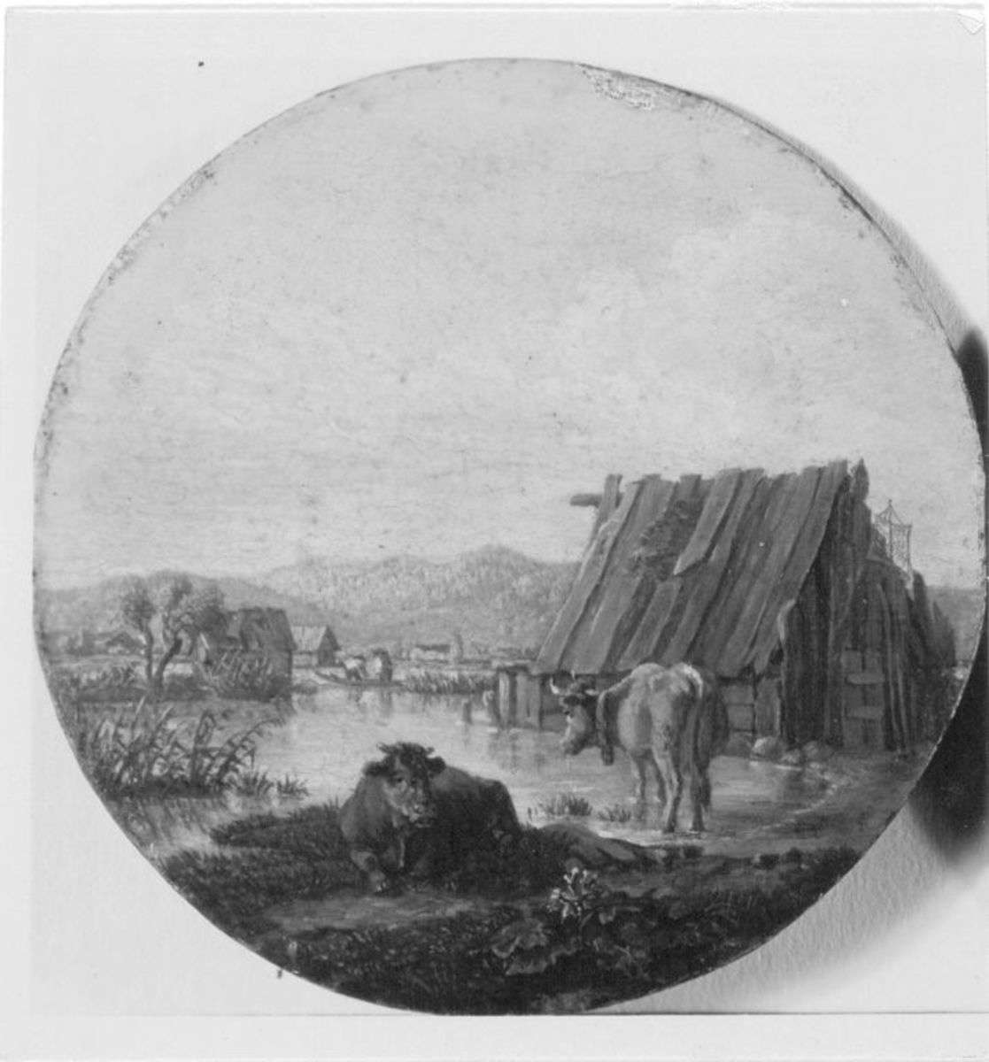 Rinder an einem Seeufer