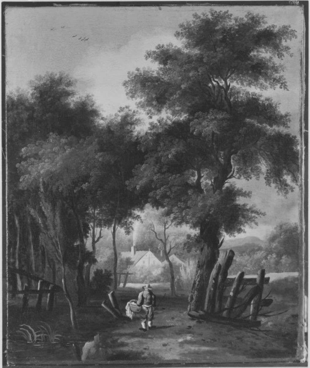 Häuser unter Bäumen