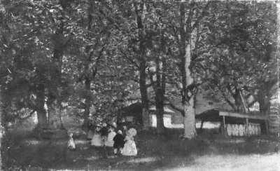 Promenade im Wald