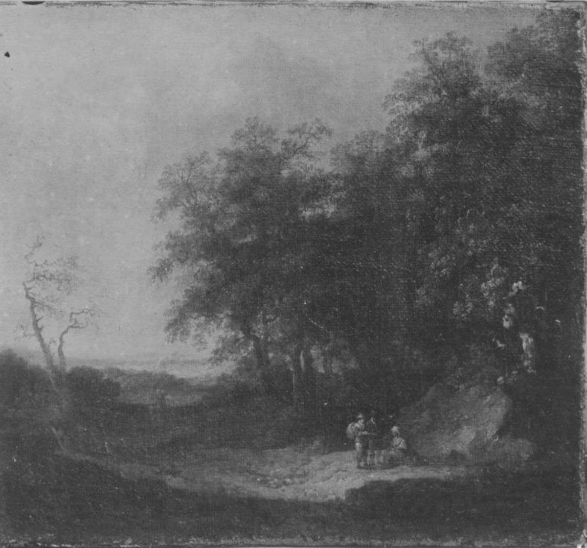 Rand eines Eichenwaldes