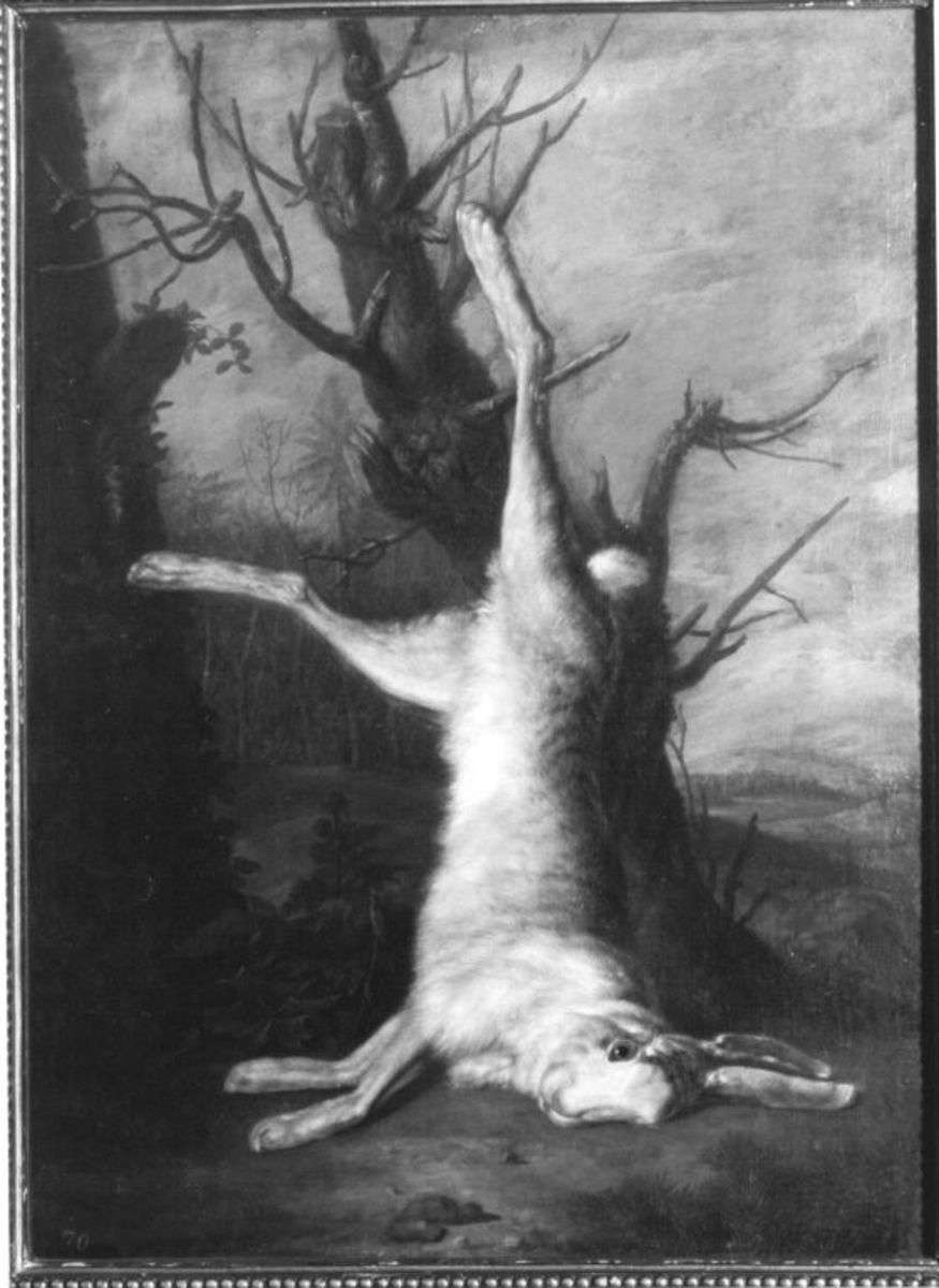 Toter weißer Hase