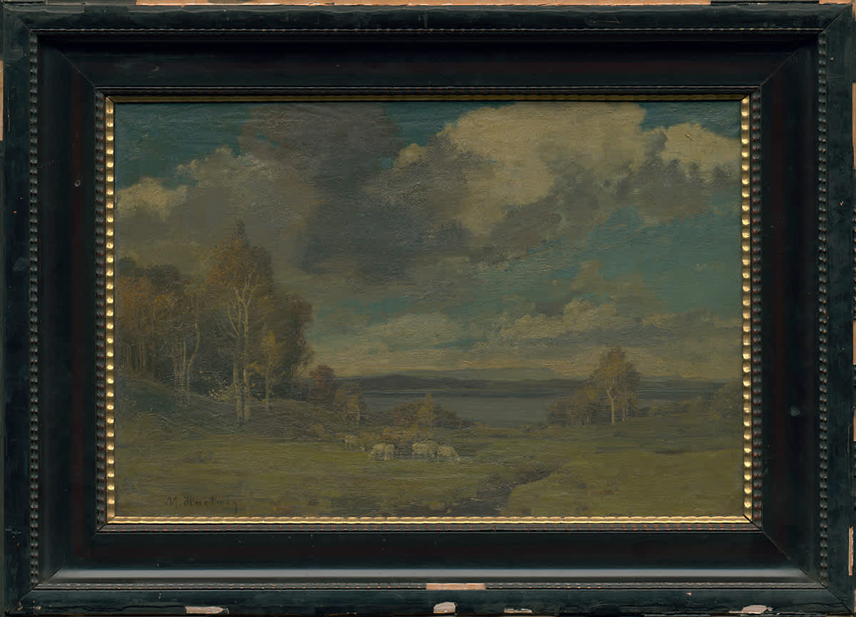 Vorgebirgslandschaft mit Schafen