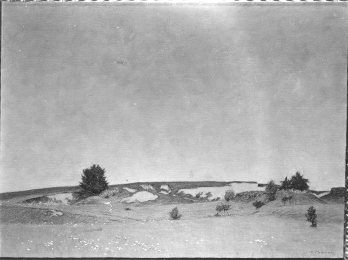 Pollinger Landschaft