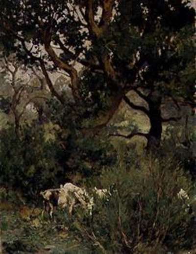 Ziegen unter Bäumen