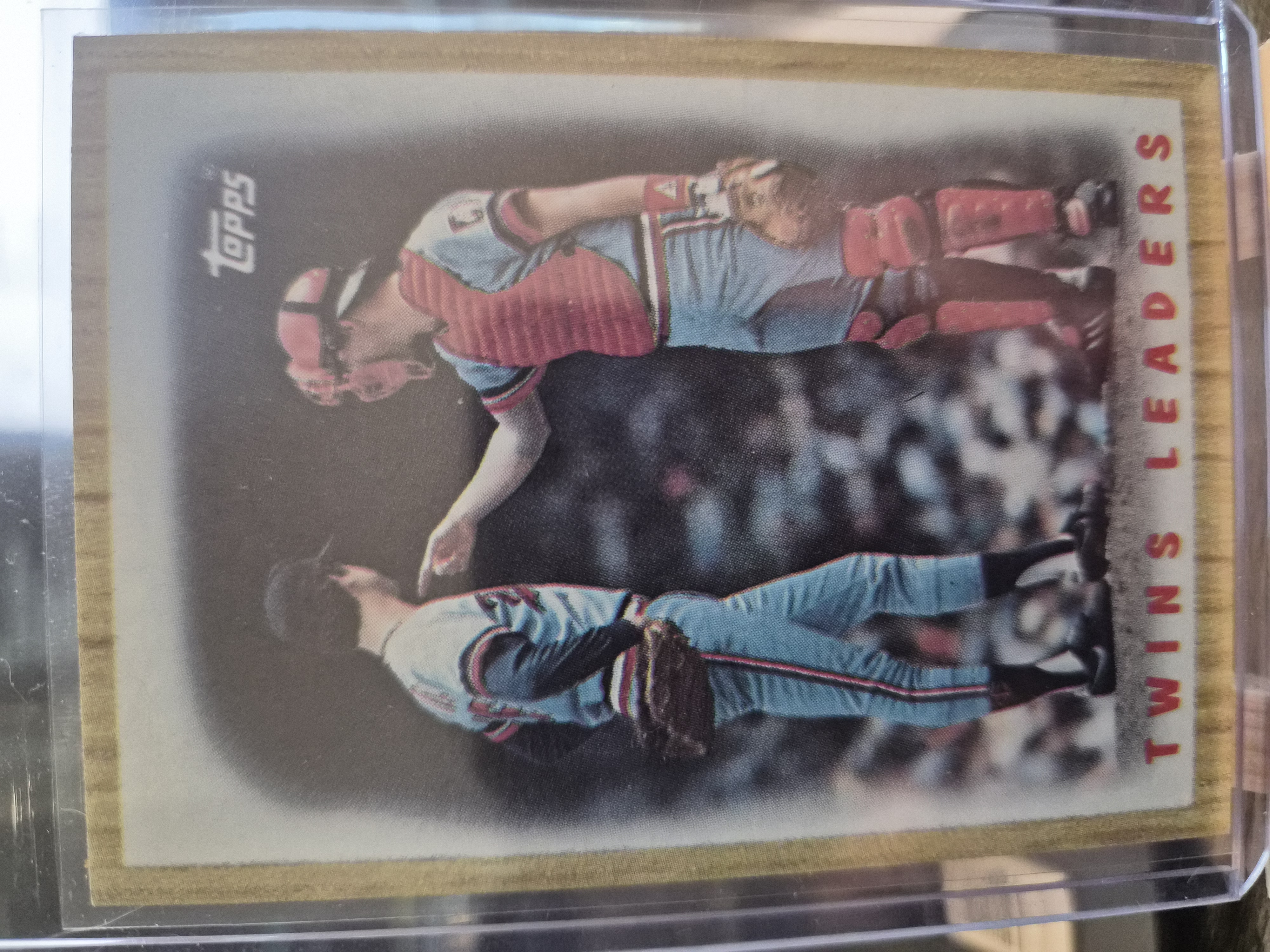 1987 Topps #206 Minnesota Twins Team Leaders, featuring pitcher Bert Blyleven and catcher Tim Laudner