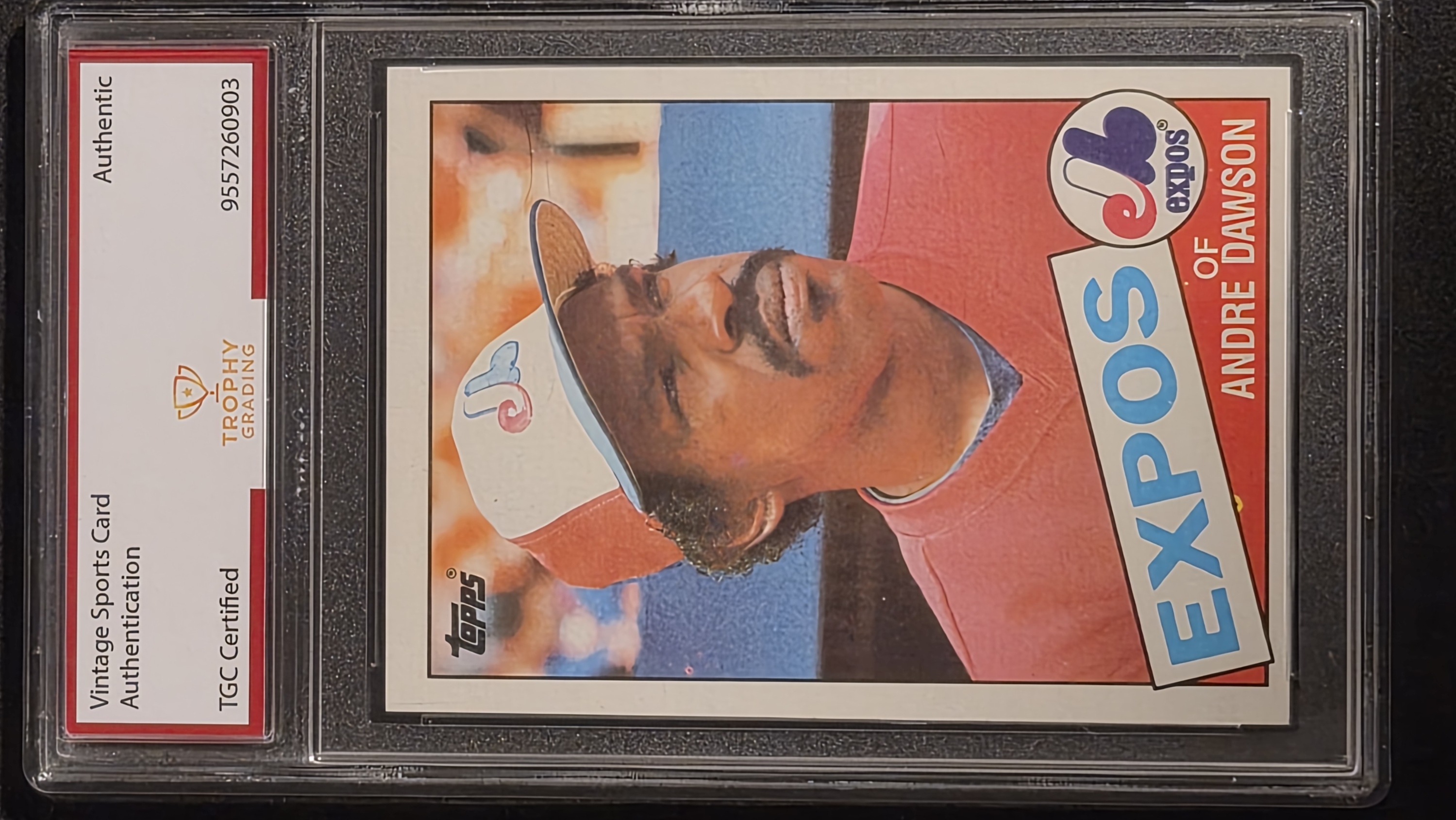 1982 Topps Andre Dawson #510