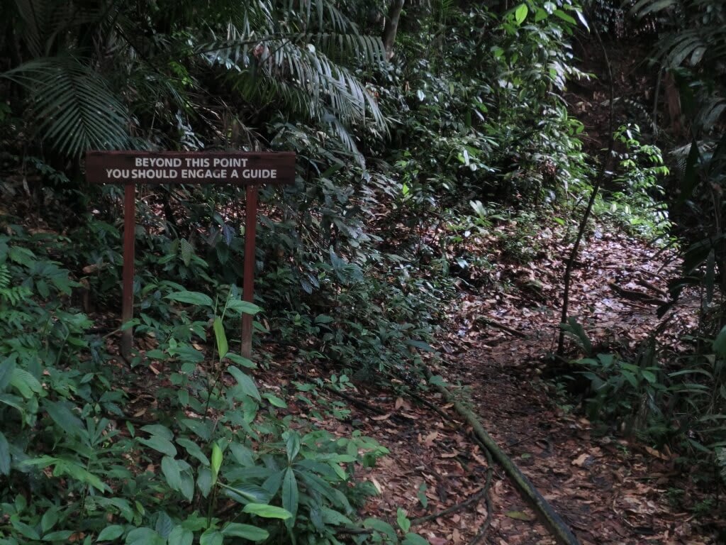 Nicht ohne Guide gehen! Warnschild im Dschungel