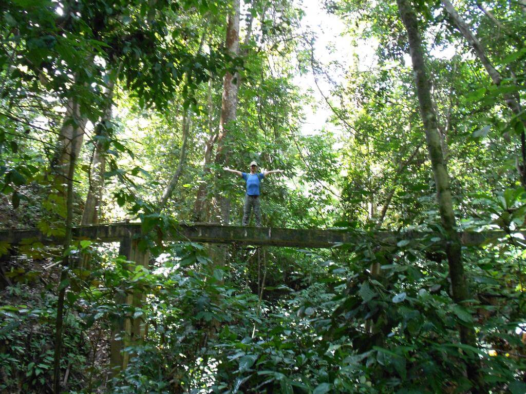 Alte Brücke in Taman Negara Alte Brücke in Taman Negara