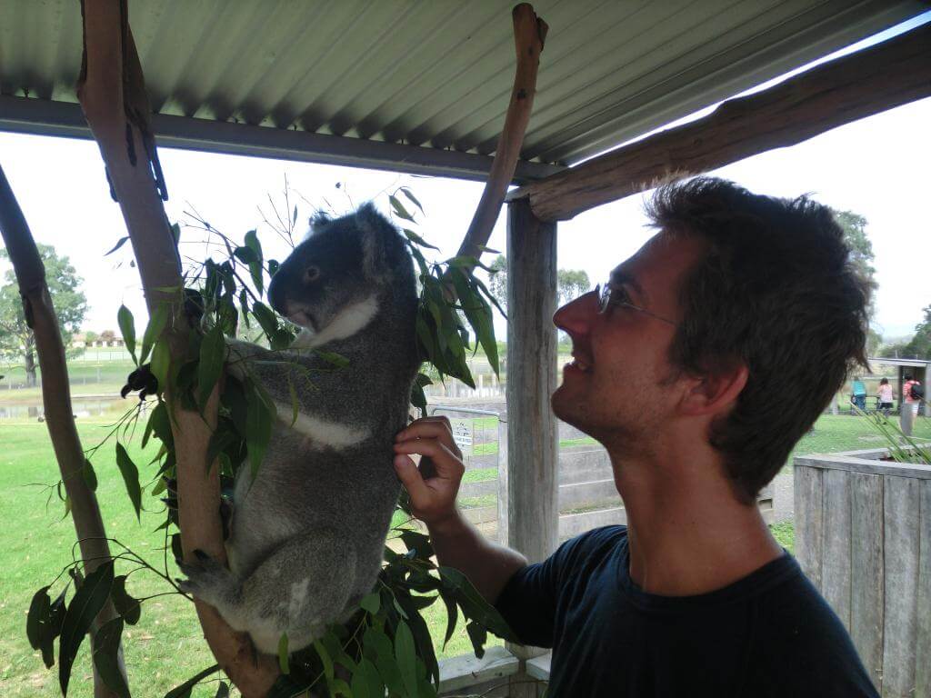 Koala und ich