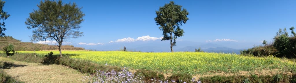 Pokhara Aussicht